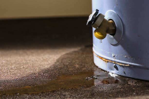 Best Water damage restoration company  in Yelm, WA