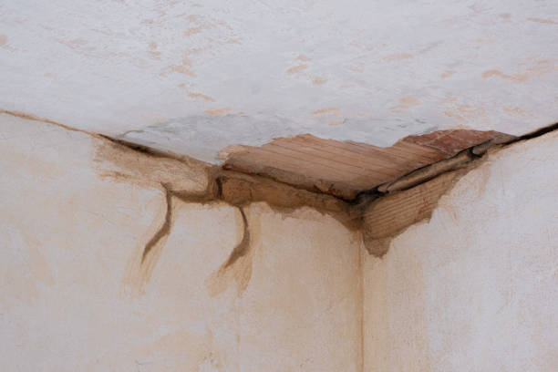 Best Carpet water damage restoration  in Yelm, WA