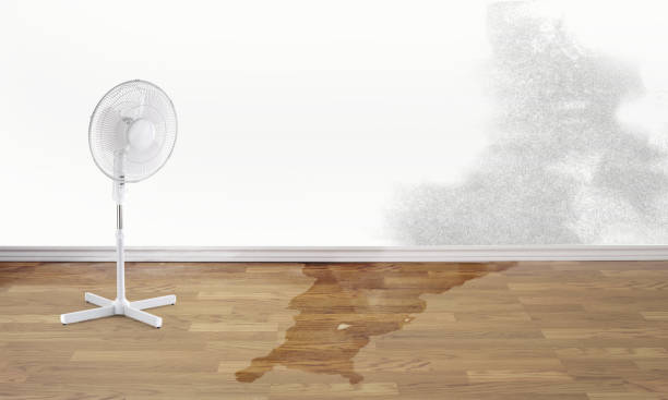 Best Flooded house restoration  in Yelm, WA