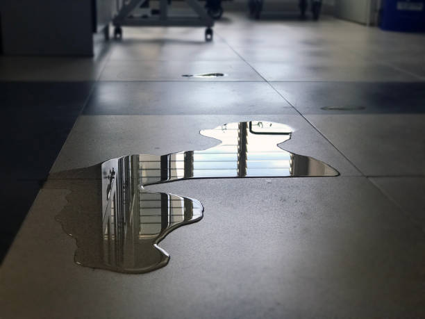 Best Water damage cleanup near me  in Yelm, WA