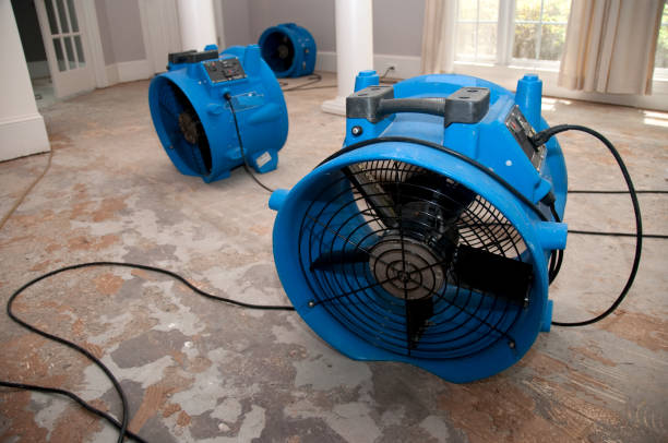 Best Sewage cleanup and water damage restoration  in Yelm, WA