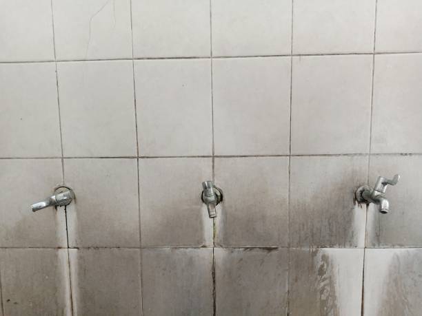Best Water damage restoration near me  in Yelm, WA