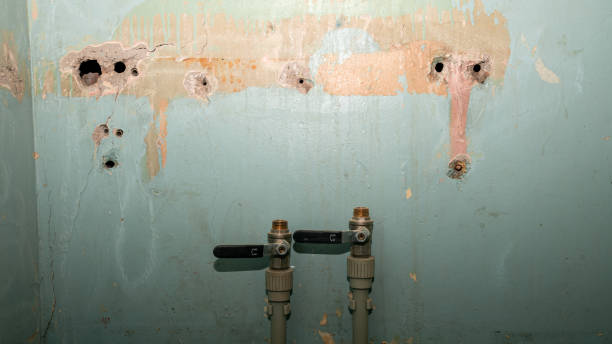 Best Fire Damage Restoration  in Yelm, WA