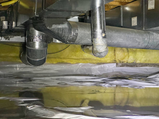 Best 24-hour water damage restoration  in Yelm, WA