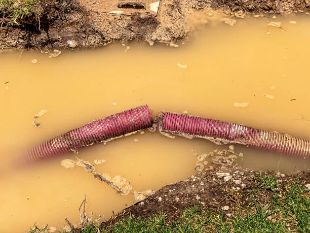 Best Water damage restoration experts  in Yelm, WA