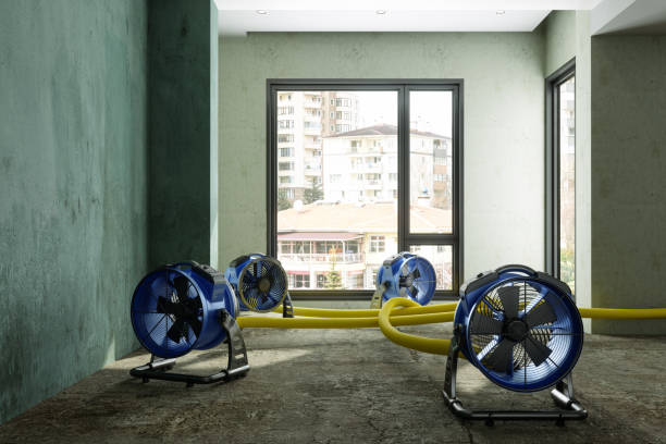 Best Flood restoration services  in Yelm, WA